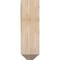 Ekena Millwork Merced Craftsman Smooth Bracket, Douglas Fir, 5 1/2"W x 18"D x 18"H BKT06X18X18MRC04SDF - alternate 3